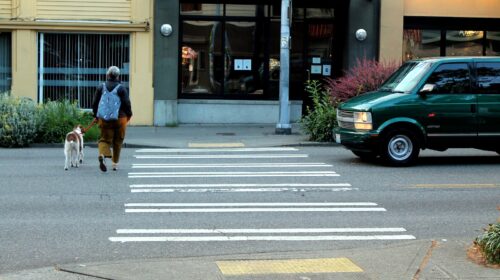 A woman and her dog cross a crosswalk while a van stops next to them.